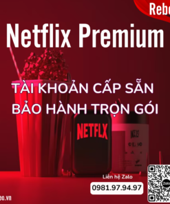 rebeo-shop-mua-tai-khoan-netflix-premium-cap-san-gia-re