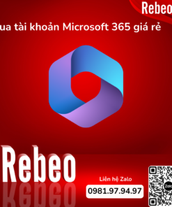 microsoft-365-rebeo-shop
