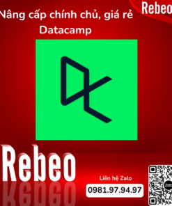 Datacamp-RebeoShop