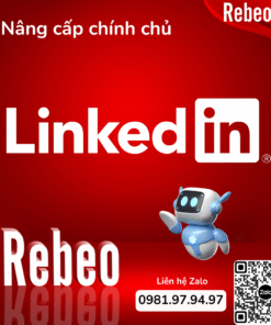 Nâng cấp Linkedin Business, Linkedin Career giá rẻ tại Rebeo Shop
