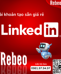 Linkedin-Rebeo Shop