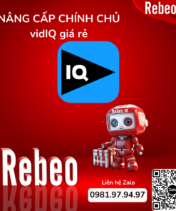 Nâng cấp chính chủ vidIQ Pro giá rẻ