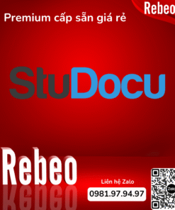 Tài khoản StuDocu Premium 12 tháng giá rẻ