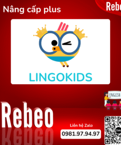 Nang-cap-Lingokids-Plus-gia-re-Rebeo-Shop