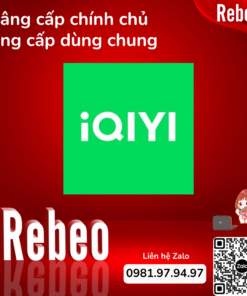 Nang-cap-chinh-chu-dung-chung-Iqiyi-gia-re-Rebeo-Shop