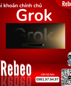 Nang-cap-chinh-chu-Grok-Super-gia-re-Rebeo-Shop