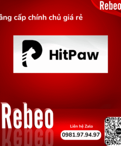 Mua Tài Khoản HitPaw Chính Chủ 1 Tháng giá rẻ - REBEO Shop