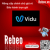 Mua Tài Khoản Vidu AI Chính Chủ 1 Tháng giá rẻ - REBEO Shop