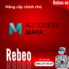 Nâng Cấp Tài Khoản Maya Chính Chủ 12 Tháng, Giá Rẻ Uy Tín Tại Rebeo Shop