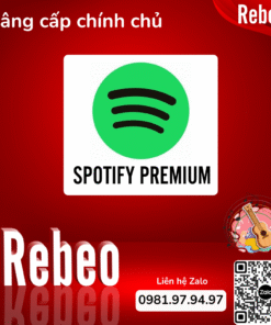 Mua Tài Khoản Spotify Premium Individual 2 tháng, 4 tháng  Giá Rẻ Chính chủ -Rebeo Shop