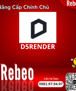 Mua Tài Khoản D5render Pro Giá Siêu Rẻ - REBEO Shop