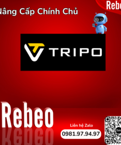 Tài Khoản Tripo3D AI Chính Chủ 1 Tháng Giá Rẻ - REBEO Shop