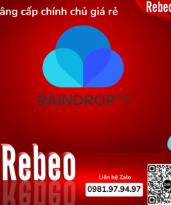 Nâng Cấp Raindrop 12 Tháng Chính Chủ - Tài Khoản Chính Hãng, Giá Rẻ Tại RebeoShop